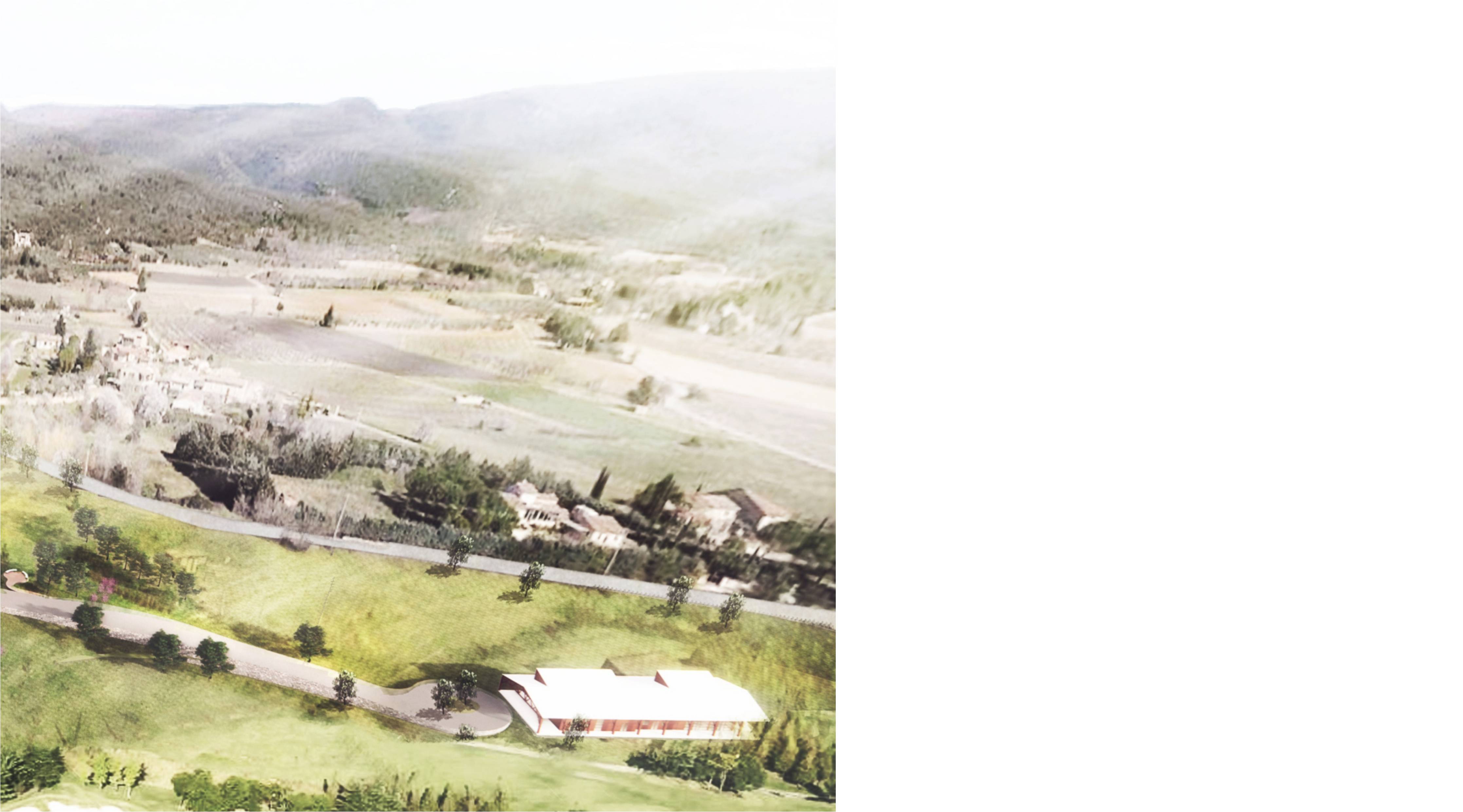 Astérisque | Villars' Little Star in South of French, image 8